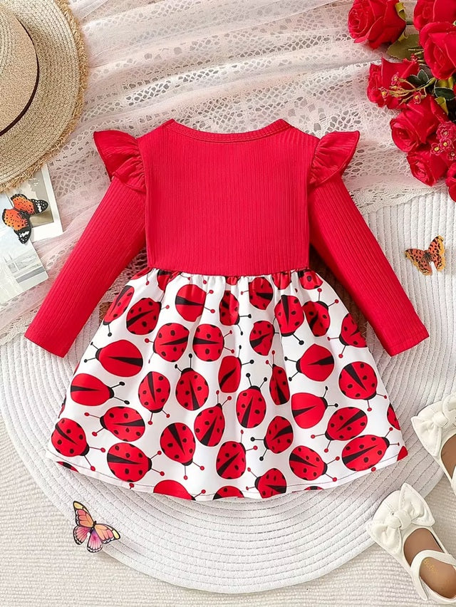 Ladybug Print Long Sleeve Dress for Girls, Red and White Knee Length Soft Round Neck Pleated Hem Autumn Toddler and 2-3 Year Girls Outfit