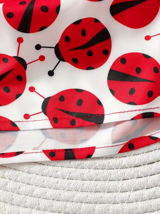 Ladybug Print Long Sleeve Dress for Girls, Red and White Knee Length Soft Round Neck Pleated Hem Autumn Toddler and 2-3 Year Girls Outfit
